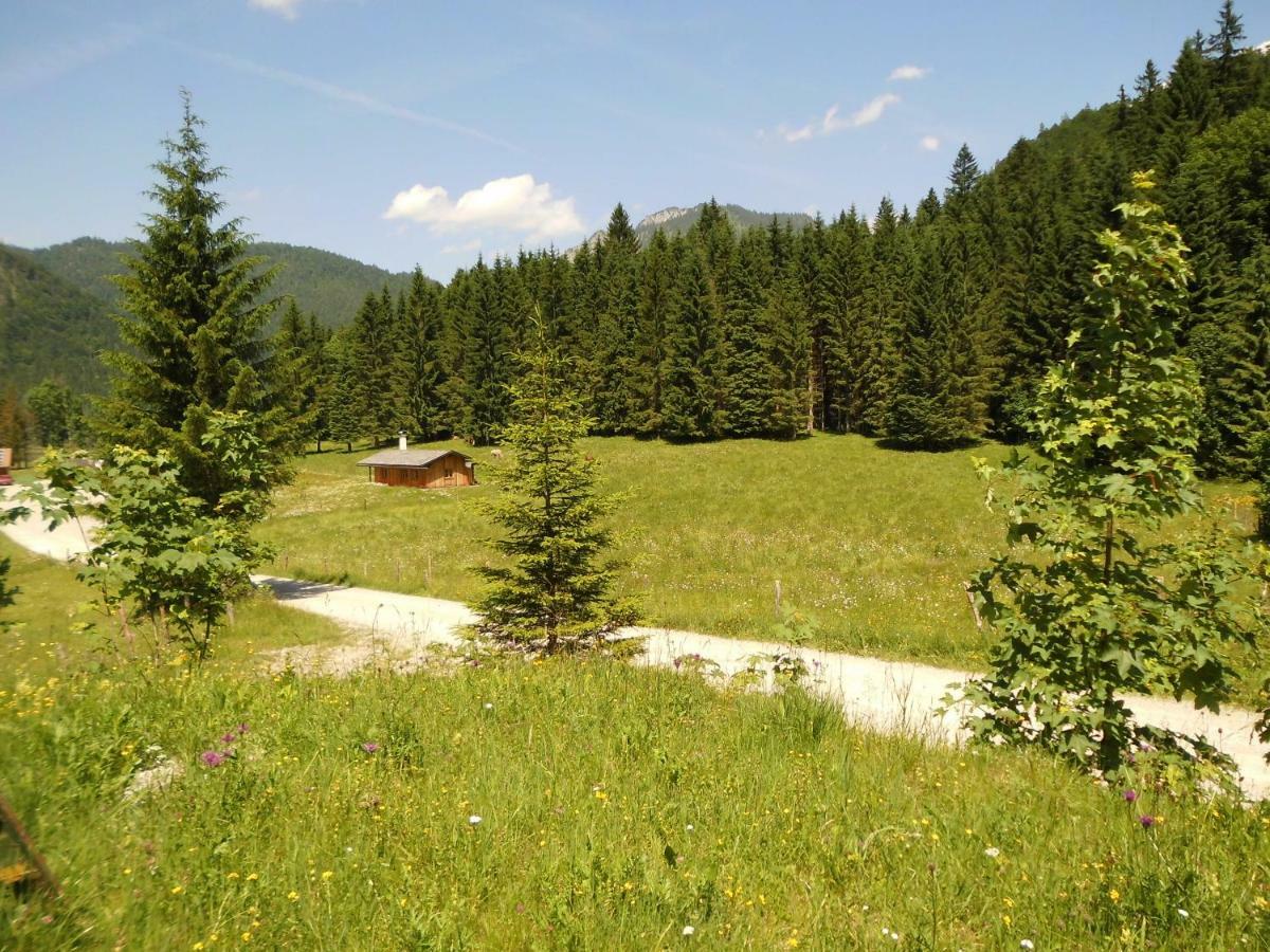 Seewiesenalm Reit im Winkl Dış mekan fotoğraf