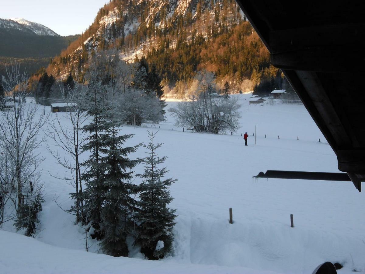 Seewiesenalm Reit im Winkl Dış mekan fotoğraf